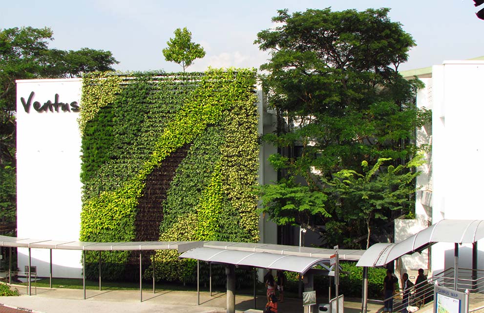 <div>NUS’ Ventus Building, which features a prominent green wall with a diverse planting palette was awarded the National Parks Board’s Skyrise Greenery Excellence Award, and certified</div><div>as an Outstanding Project under its Landscape Excellence Assessment Framework (LEAF) in 2017.</div>