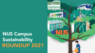 NUS Sustainability Feature_Roundup 2021 Thumbnail