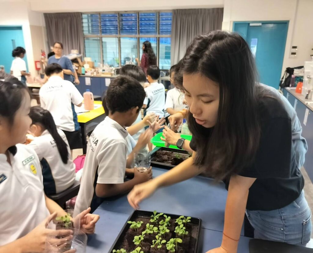 Yuki at Lianhua Primary School providing the children a first hand experience with gardening and microgreens.