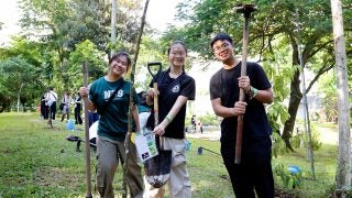 Iceberg series n milestone tree-planting