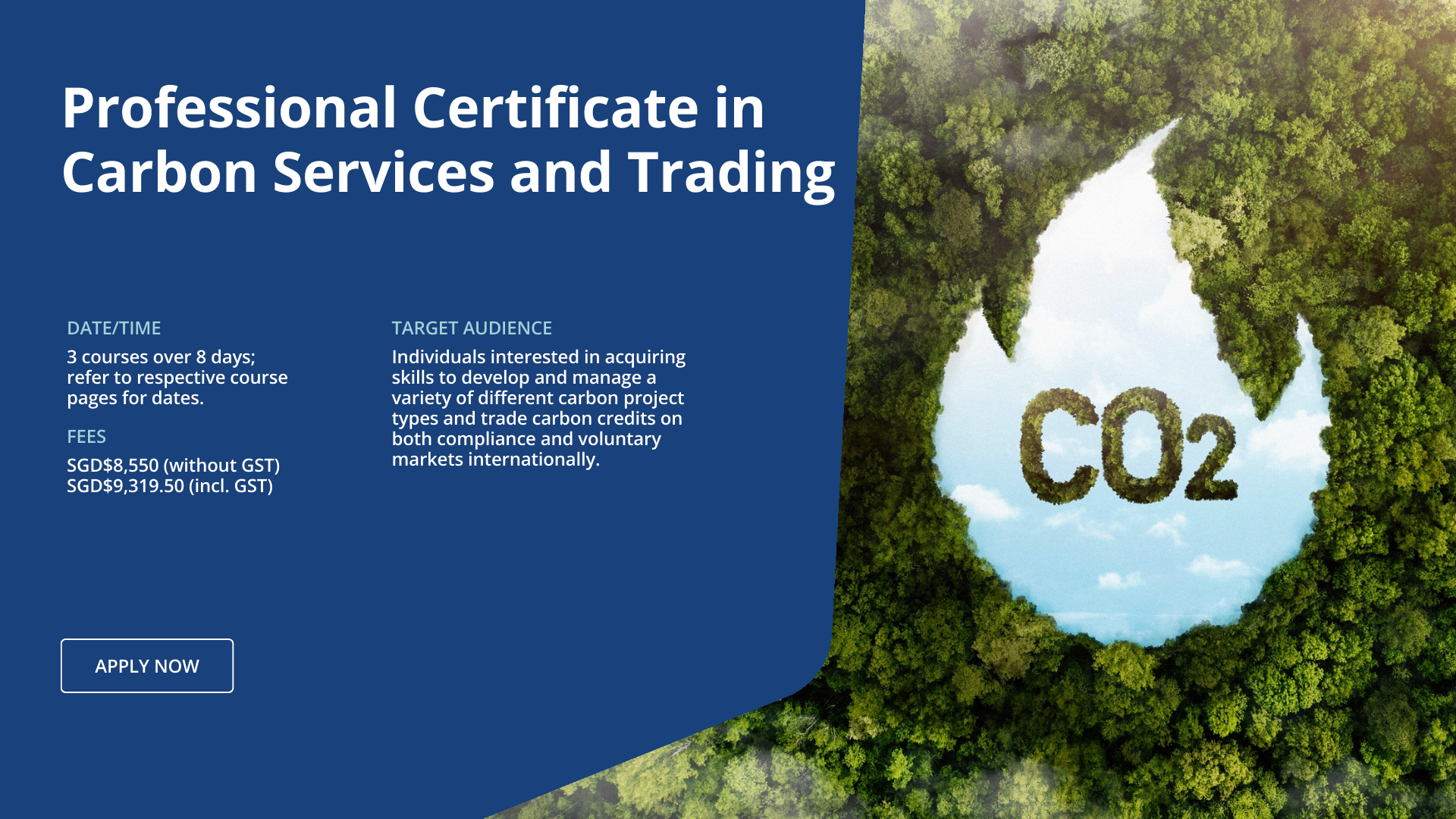 Professional Certificate in Carbon Services and Trading - NUS ...