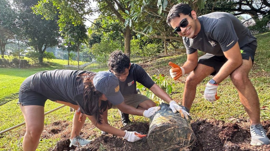 Toddycats Kent Ridge