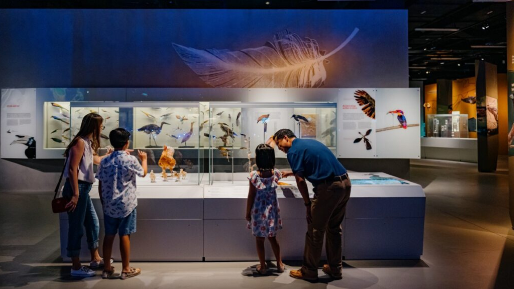 Untitled design (11)