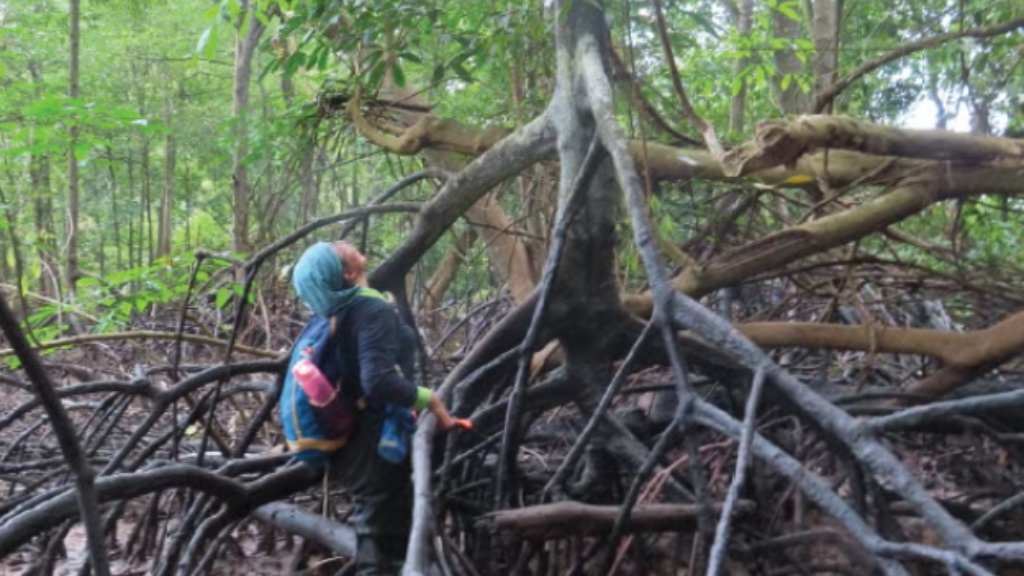 FOR CONNECT webpage (10)