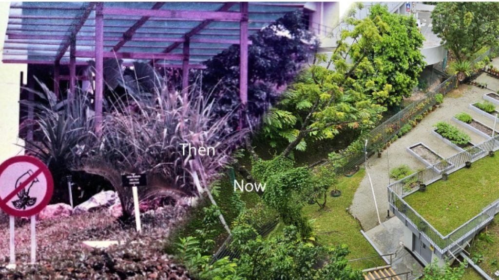 NUS Libraries for CONNECT