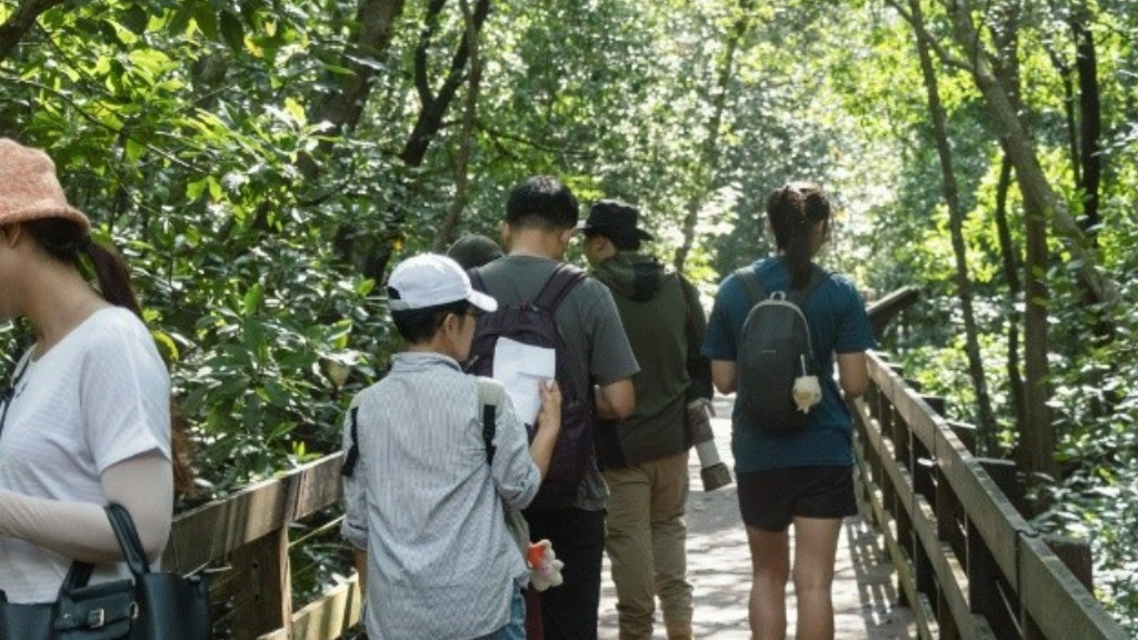 BES Drongos for CONNECT 2025