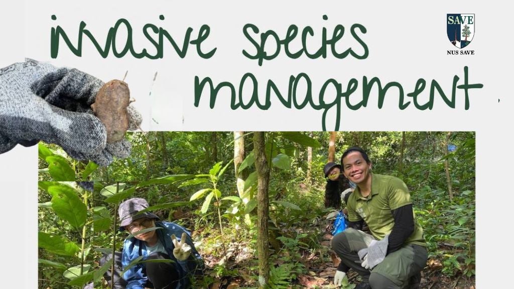 FOR CONNECT webpage (11)