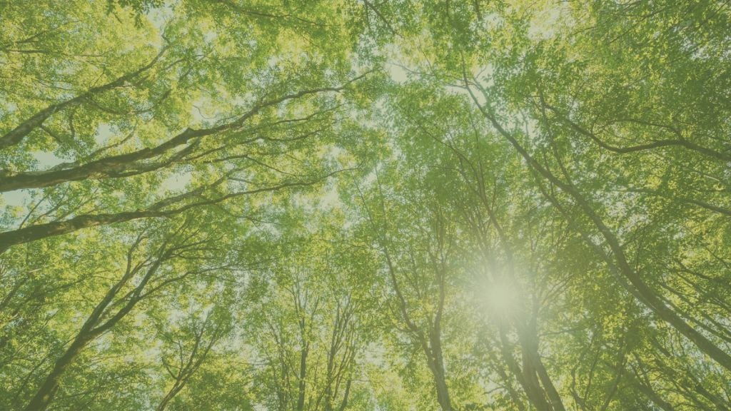 FOR CONNECT webpage (8)