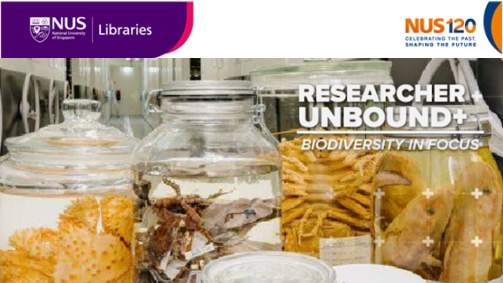 FOR CONNECT webpage (9)