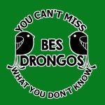 bes drongos
