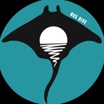 nus dive