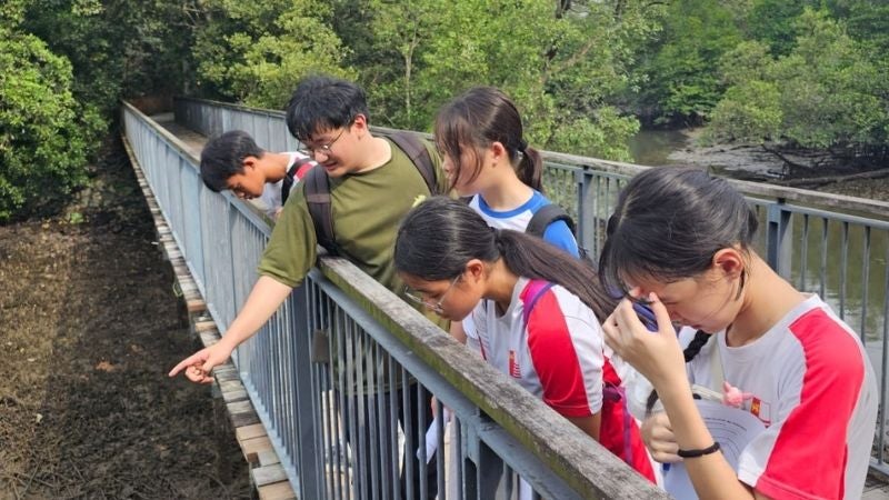 FOR CONNECT webpage (19)
