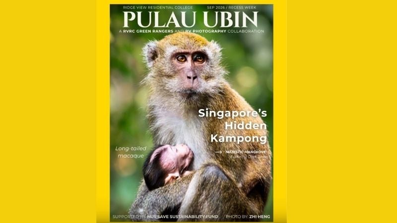 FOR CONNECT webpage (29)
