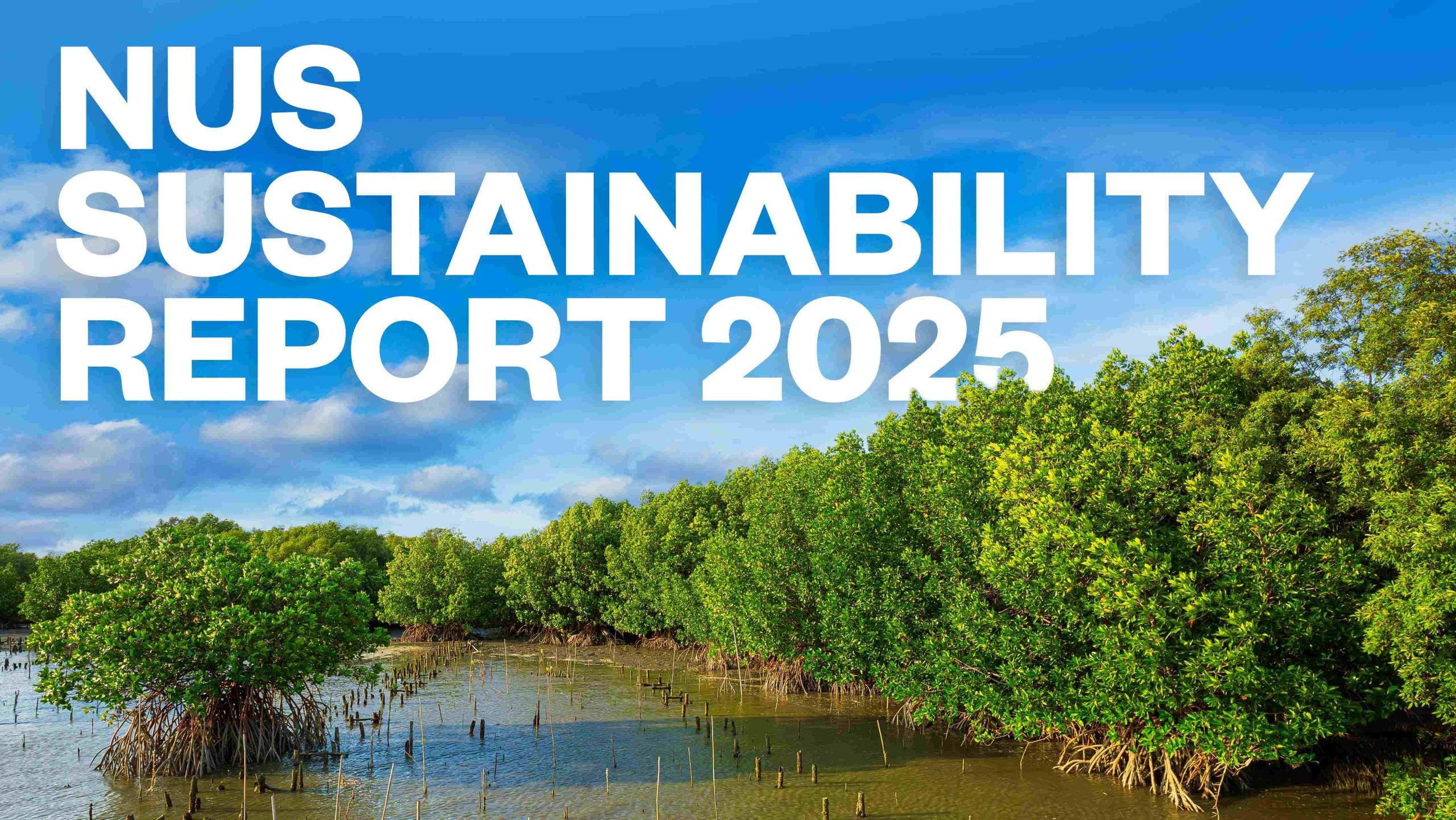 NUS Sustainability Report 2025_Cover LR